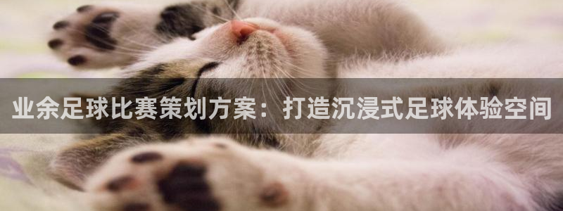  业余足球比赛策划方案：打造沉浸式足球体验空间