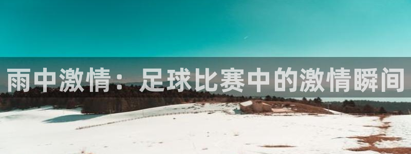 雨中激情：足球比赛中的激情瞬间