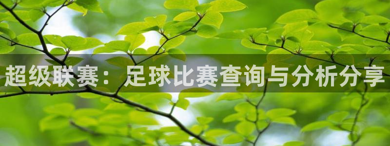  超级联赛：足球比赛查询与分析分享
