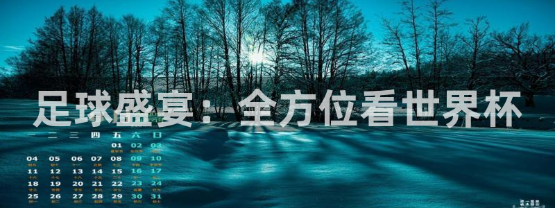  足球盛宴：全方位看世界杯