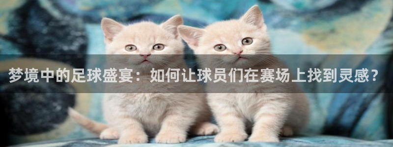 梦境中的足球盛宴：如何让球员们在赛场上找到灵感？