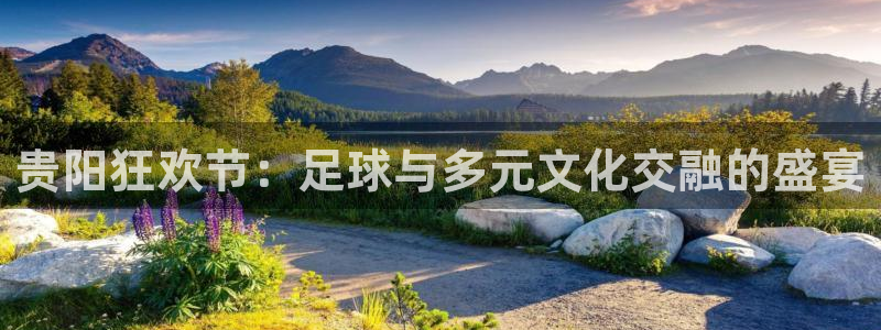  贵阳狂欢节：足球与多元文化交融的盛宴