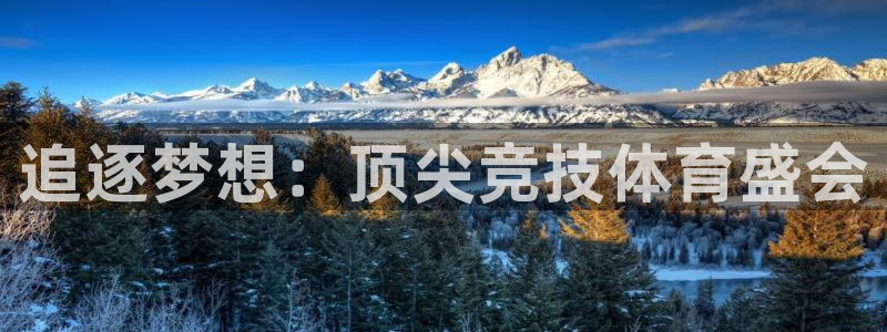  追逐梦想：顶尖竞技体育盛会