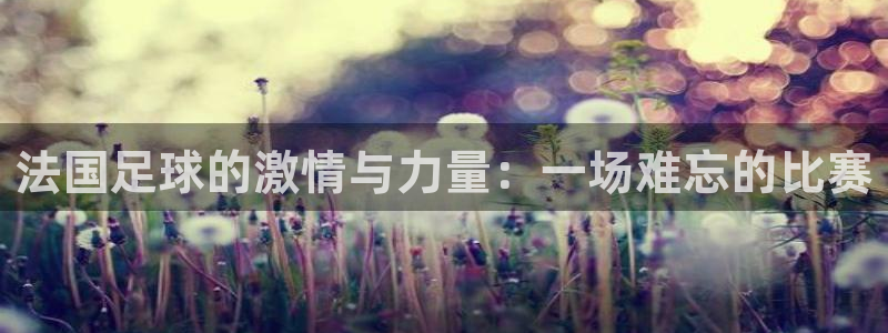 法国足球的激情与力量：一场难忘的比赛