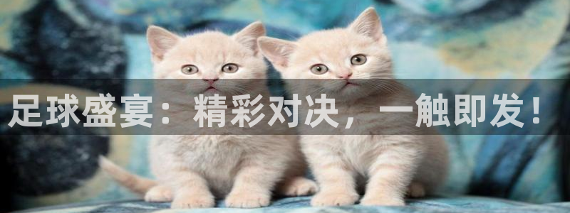 足球盛宴：精彩对决，一触即发！