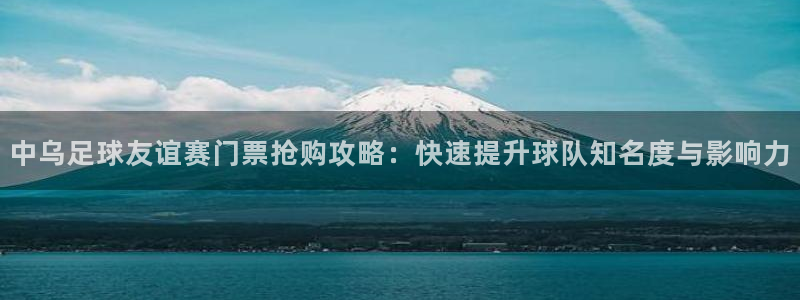 中乌足球友谊赛门票抢购攻略：快速提升球队知名度与影响力