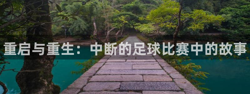  重启与重生：中断的足球比赛中的故事