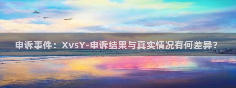申诉事件：XvsY-申诉结果与真实情况有何差异？