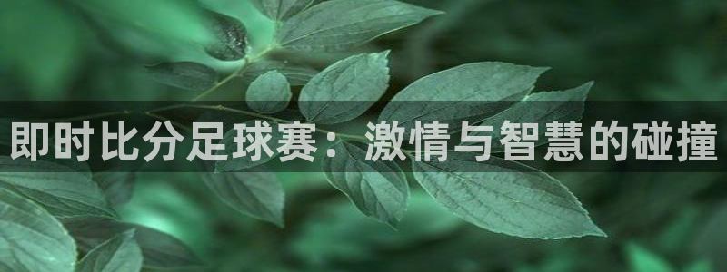 即时比分足球赛：激情与智慧的碰撞