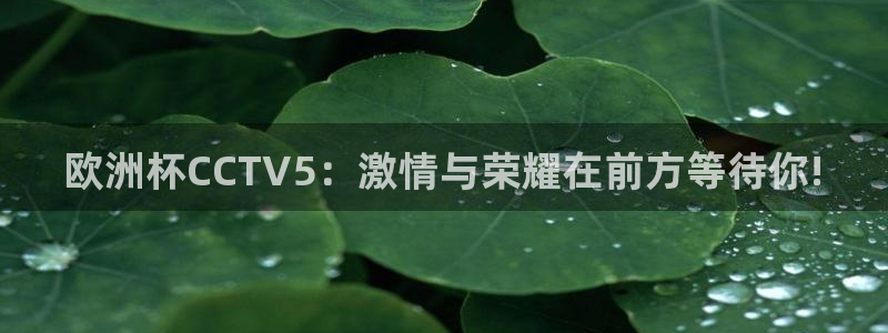 nba直播球神：欧洲杯CCTV5：激情与荣耀在前方等待你!
