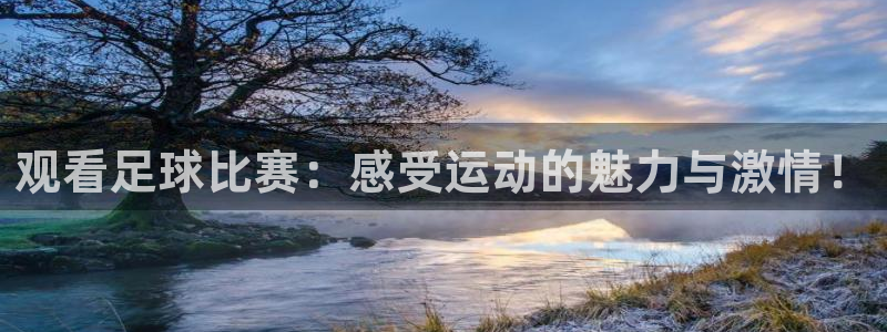 观看足球比赛：感受运动的魅力与激情！