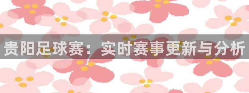 贵阳足球赛：实时赛事更新与分析