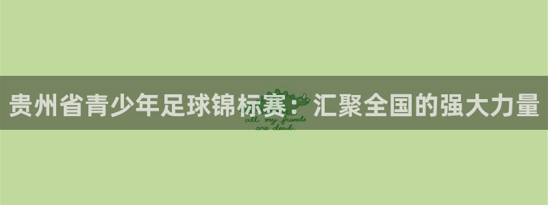 贵州省青少年足球锦标赛：汇聚全国的强