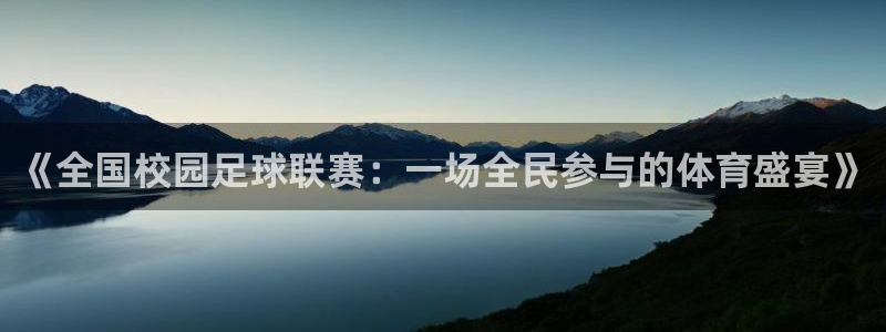《全国校园足球联赛：一场全民参与的体