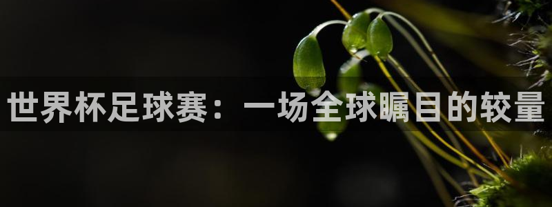 世界杯足球赛：一场全球瞩目的较量