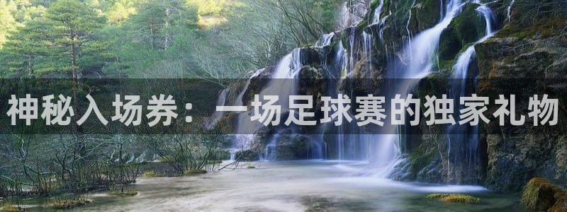 神秘入场券：一场足球赛的独家礼物
