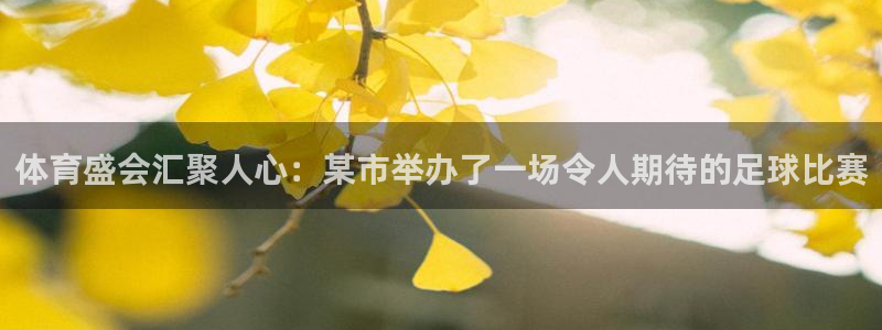 体育盛会汇聚人心：某市举办了一场令人